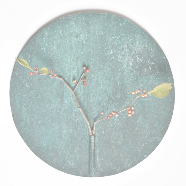 yaichi/gallery/schedule/2017/2017.11.03.fri.-11.19.sun. /Mami